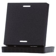 Rocker for the KNX Push Button Light 55 1 gang, Black matt, neutral BE-TAL55W106.01