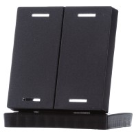 Rocker for the KNX Push Button Light 55 2 gang, Black matt, neutral BE-TAL55W206.01