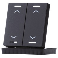 Rocker for the KNX Push Button Light 55 2 gang, Black matt, blinds BE-TAL55W206.A1