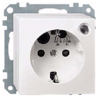 Socket outlet (receptacle) 500119