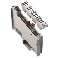 Fieldbus analogue module 2 In / 0 Out 753-454