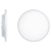 Ceiling-/wall luminaire CAELA RMS 60819072