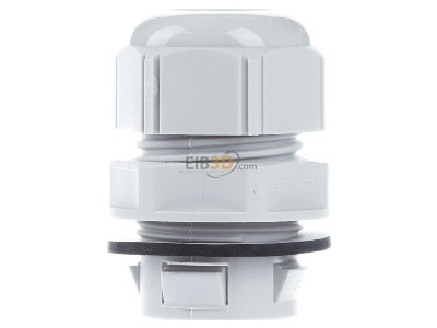 View on the left Lapp CLICK M25 R7035 LGY Cable gland / core connector 
