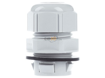 View on the right Lapp CLICK M25 R7035 LGY Cable gland / core connector 
