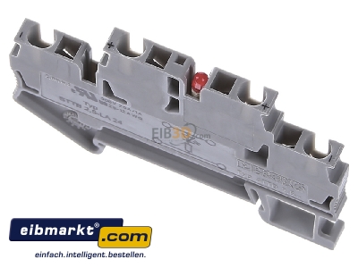 Ansicht oben hinten Phoenix Contact STTB 2,5-LA 24 RD Klemme 