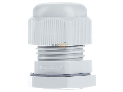 Back view Hensel AKM 25 Cable gland / core connector M25 
