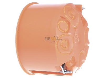 View on the right Kaiser 9067-01 Hollow wall mounted box D=74mm 
