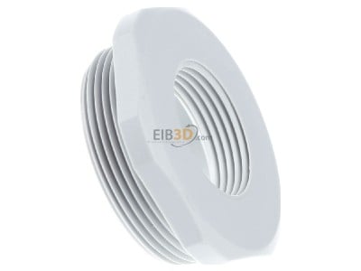 View on the left Kleinhuis 1893M4025 Adapter ring M25 / M40 plastic 
