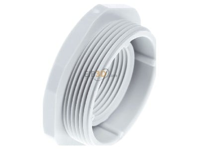 View on the right Kleinhuis 1893M4025 Adapter ring M25 / M40 plastic 
