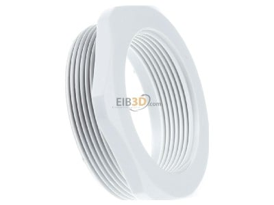 View on the left Kleinhuis 1893M5040 Adapter ring M40 / M50 plastic 
