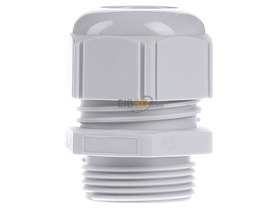 Back view Lapp STR-M25x1,5 R7035LGY Cable screw gland 

