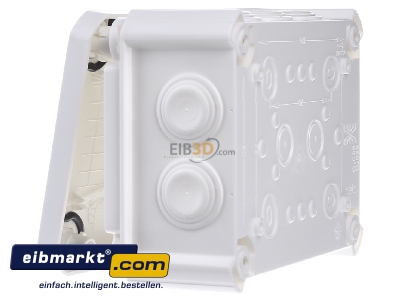 View on the right OBO Bettermann T 100 RW Flush mounted terminal box
