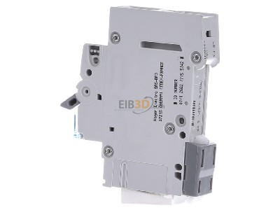 View on the right Hager MBN106 Miniature circuit breaker 1-p B6A 
