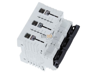 View top left Whner 31314 Neozed switch disconnector 3xD02 63A 31 314
