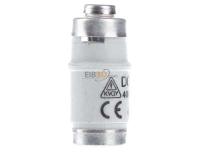 View on the left W�hner 01693 Neozed fuse link D02 50A 01 693
