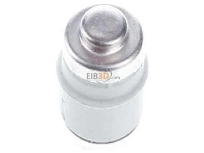 Top rear view W�hner 01693 Neozed fuse link D02 50A 01 693
