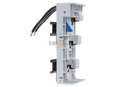 View on the right Whner 32459 Busbar adapter 63A 32 459
