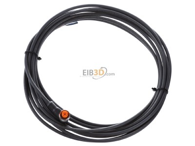 Ansicht oben vorne Belden RKWT 4-225/5m Kupplung m.Schraubver.,gew 4pol.,M12,5m Kab.PUR 