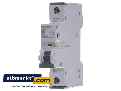 Front view Siemens Indus.Sector 5SY4125-6 Miniature circuit breaker 1-p B25A
