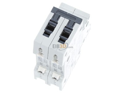 Top rear view Siemens 5SY4206-6 Miniature circuit breaker 2-p B6A 
