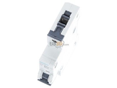 View up front Siemens 5SY4102-7 Miniature circuit breaker 1-p C2A 
