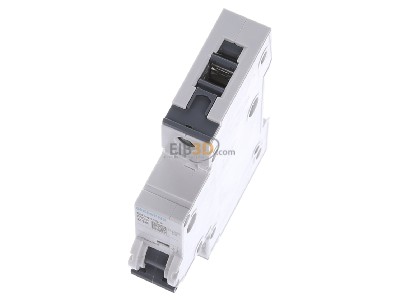 View up front Siemens 5SY4116-7 Miniature circuit breaker 1-p C16A 
