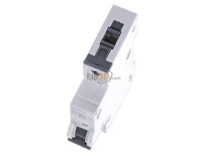 View up front Siemens Indus.Sector 5SY4125-7 Miniature circuit breaker 1-p C25A 
