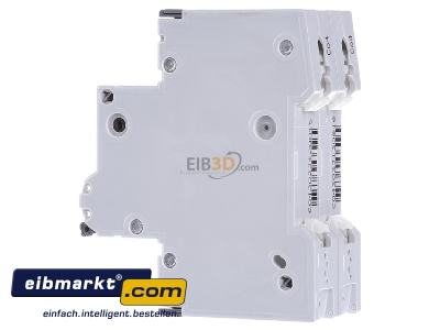View on the right Siemens Indus.Sector 5SY4204-7 Miniature circuit breaker 2-p C4A
