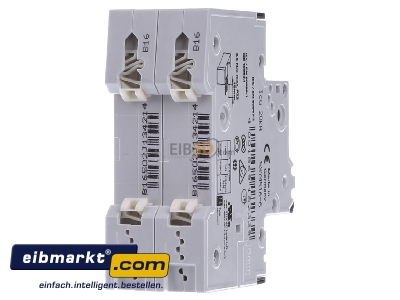 Back view Siemens Indus.Sector 5SY4516-6 Miniature circuit breaker 2-p B16A
