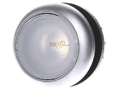 Frontansicht Eaton M22-DRL-W Leuchtdrucktaste flach,weiss,blanko 
