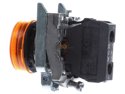 View on the right Schneider Electric XB4BVB5 Indicator light orange 24VAC/DC 
