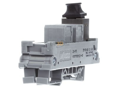 View on the right WAGO 289-175 RJ45 8(8) Data outlet 5 
