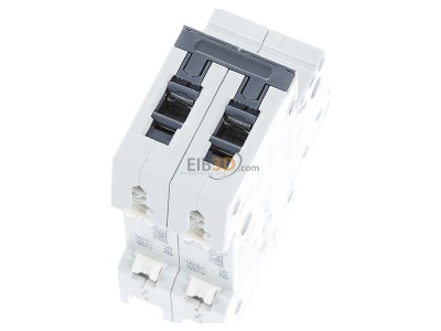 Top rear view Siemens 5SY5206-6 Miniature circuit breaker 2-p B6A 
