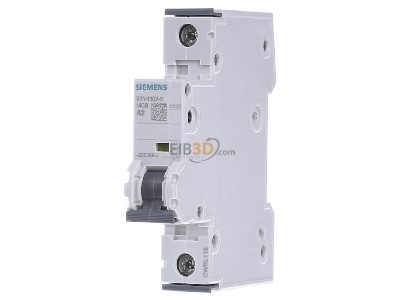 Front view Siemens 5SY4102-5 Miniature circuit breaker 1-p A2A 
