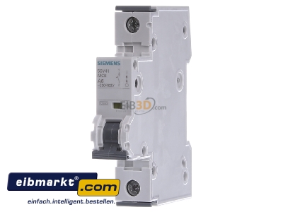 Front view Siemens Indus.Sector 5SY4106-5 Miniature circuit breaker 1-p A6A
