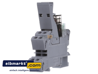 View on the right WAGO Kontakttechnik 788-341 Switching relay AC 24V DC 24V 16A
