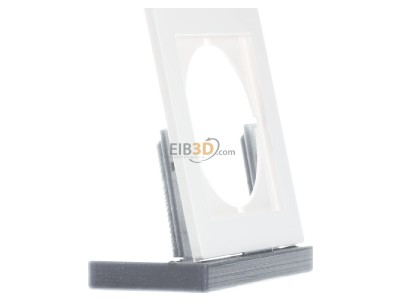 View on the left Gira 028140 Adapter cover frame 
