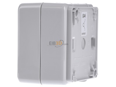 View on the right Gira 010530 Series switch surface mounted grey 10530
