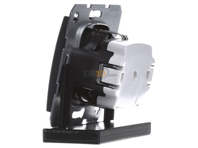 View on the right Berker 41231606 Socket outlet (receptacle) 
