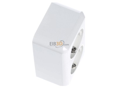 Ansicht oben links Elso 395404 Steckdose rw AP20 2-fach 