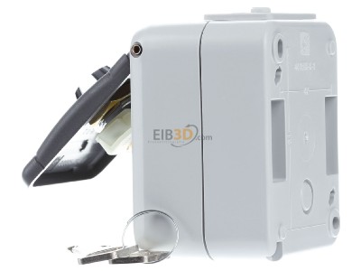 View on the right Elso 455019 Socket outlet (receptacle) 
