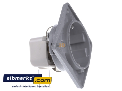 View on the left Berker 841852526 Socket outlet protective contact grey
