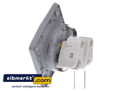 View on the right Berker 841852526 Socket outlet protective contact grey
