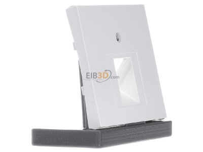 View on the left Berker 14077009 Central cover plate UAE/IAE (ISDN) 
