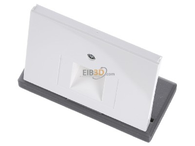 View up front Berker 14077009 Central cover plate UAE/IAE (ISDN) 
