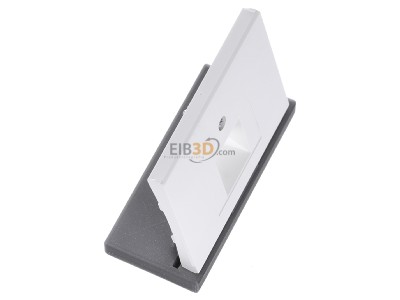 View top left Berker 14077009 Central cover plate UAE/IAE (ISDN) 
