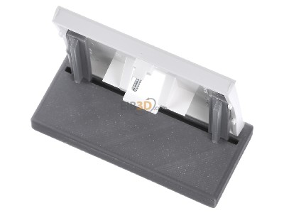 Top rear view Berker 14077009 Central cover plate UAE/IAE (ISDN) 
