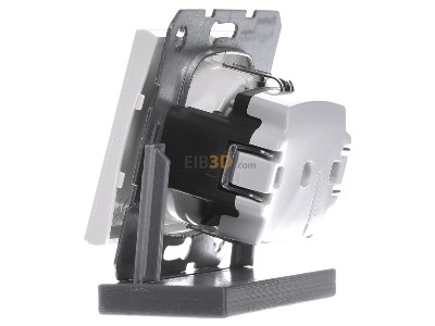 View on the right Berker 47357009 Socket outlet (receptacle) 
