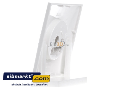 View on the right Berker 11308989 Cover plate for dimmer white
