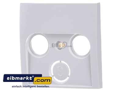 Front view Berker 12038989 Central cover plate
